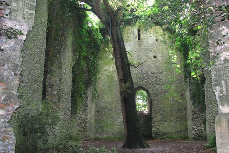 The Witch's Leg at St Mary's Church