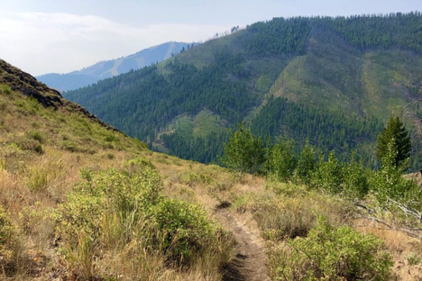 Many of the trails offer fantastic, sweeping views of the valley.