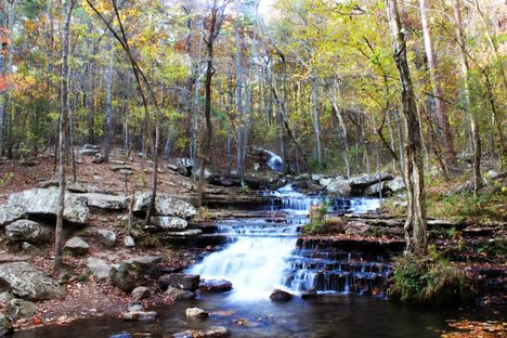 Collins Creek Cascade in Spring