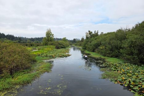 View of the park's main waterway