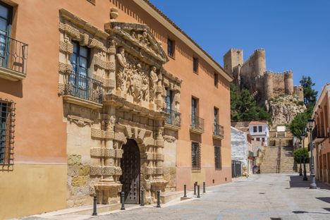 The Town Hall with the castle behind.