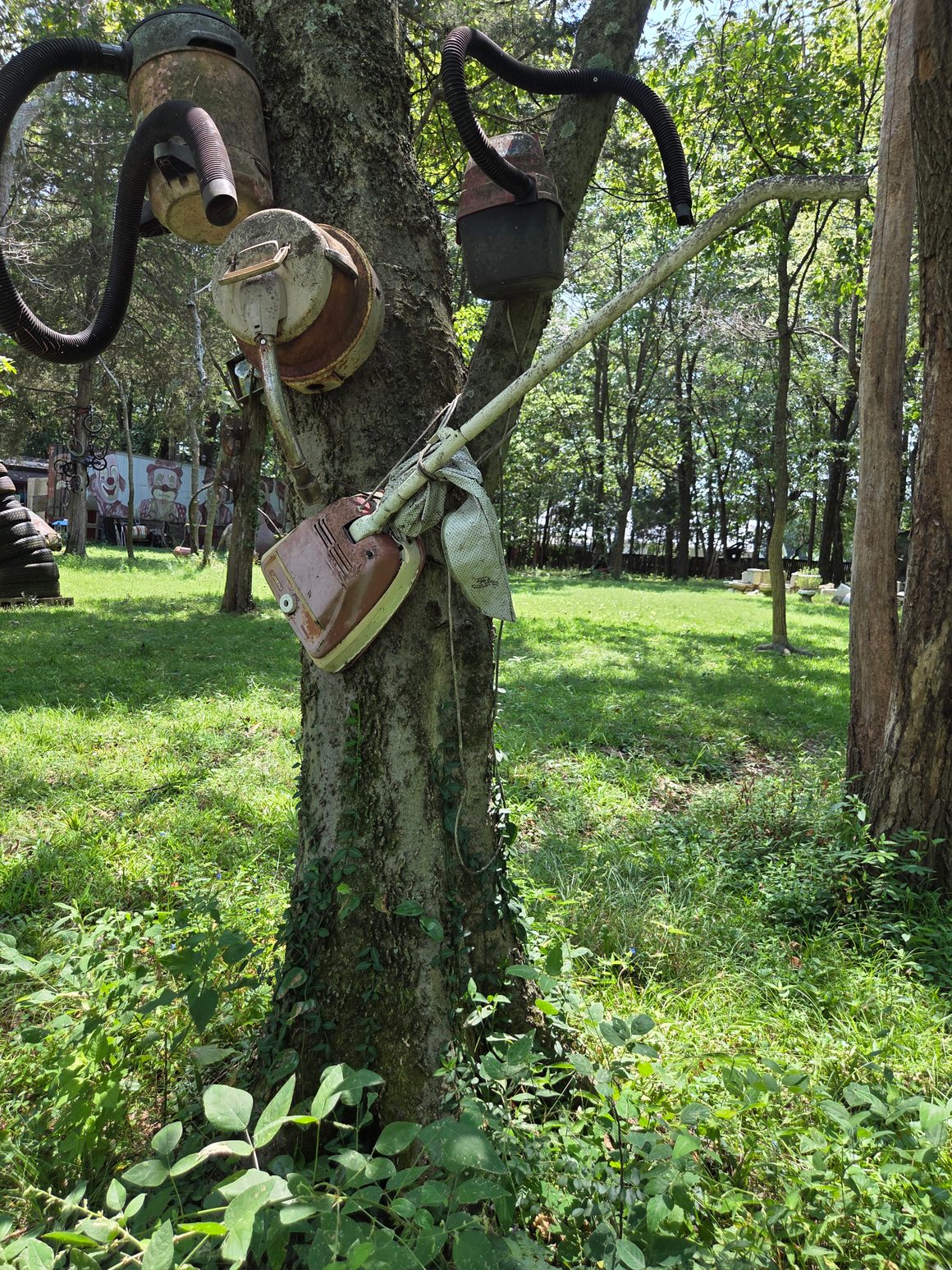 This tree sucks.
