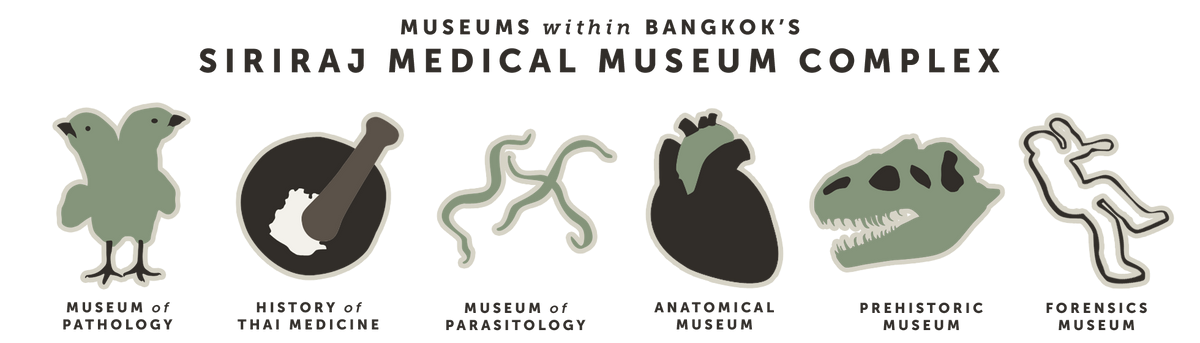 Museums within Bangkok's Siriraj Medical Museum Complex
