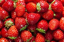 Strawberries have a fascinating history.
