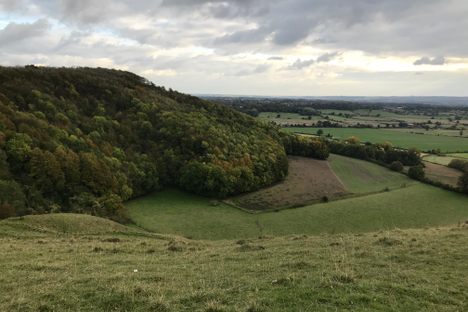 View South from Oliver's Castle