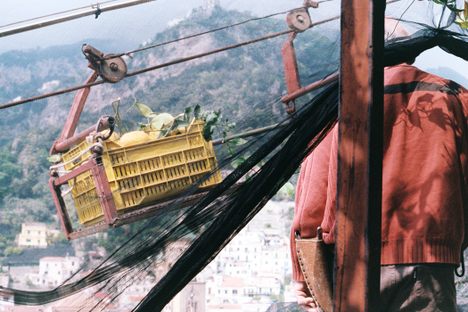 Steep slopes made the pulley system at the Aceto farm a necessity. 