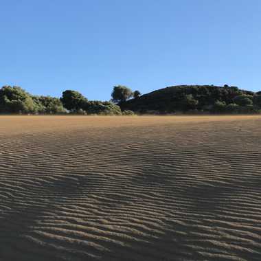 The light breeze making the sand glowing as it moves it around