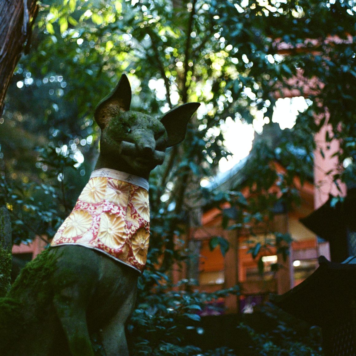 Supernatural cat collar online