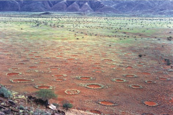 Fairy Circles in Namibia.
