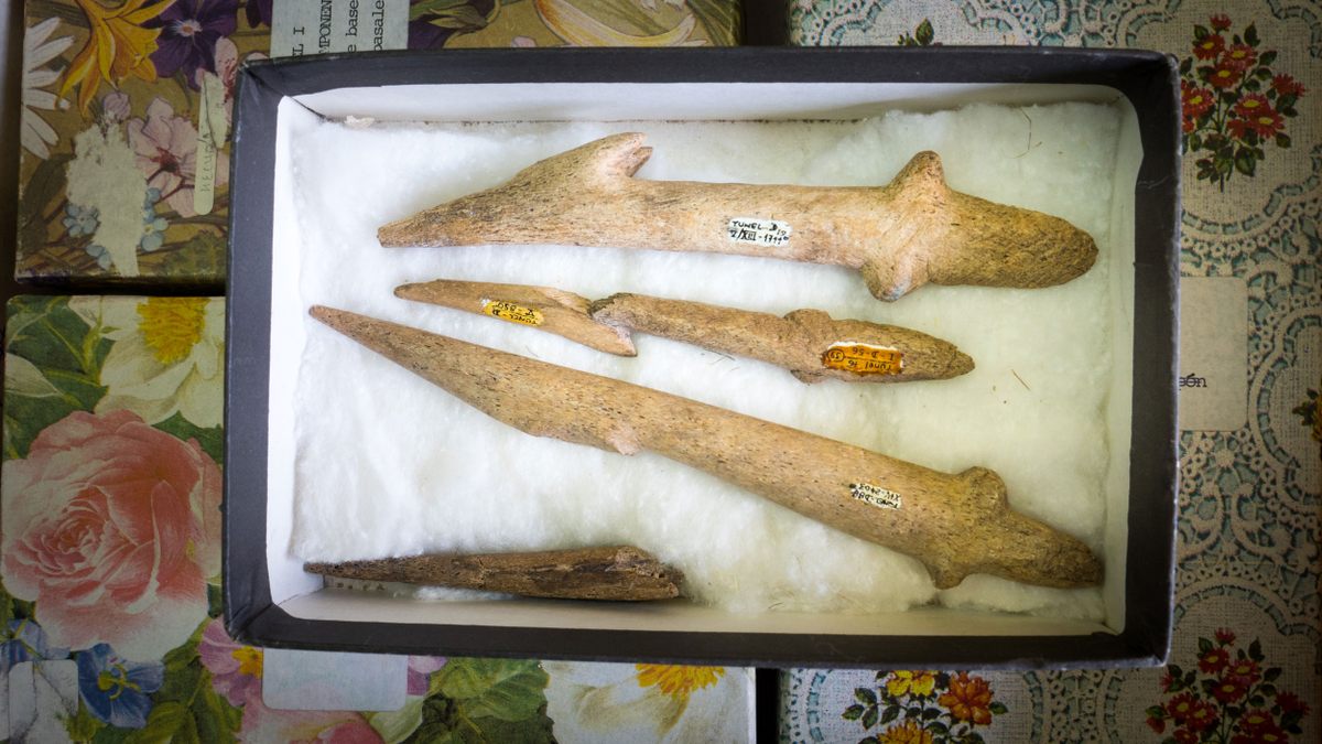 Harpoon points with a cross base made on cetacean bone from the Tunel I site that date to between 4,590 and 6,470 years ago.