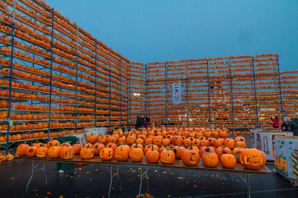 One vertex of the 6th Annual Great Highwood Pumpkin Festival.