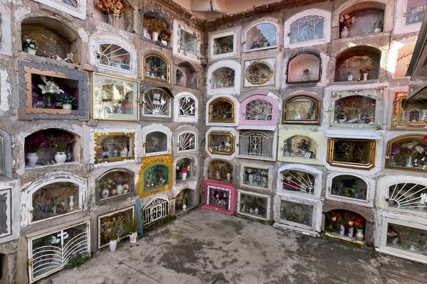 Wall to wall shadowboxes.