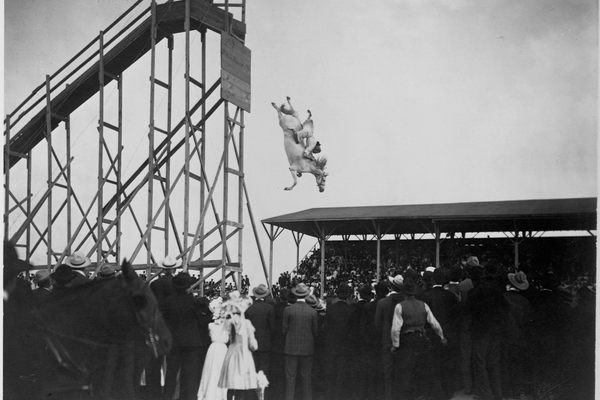 Eunice Winkless diving at the Steel Pier.