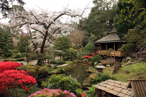 The Japanese Tea Garden.