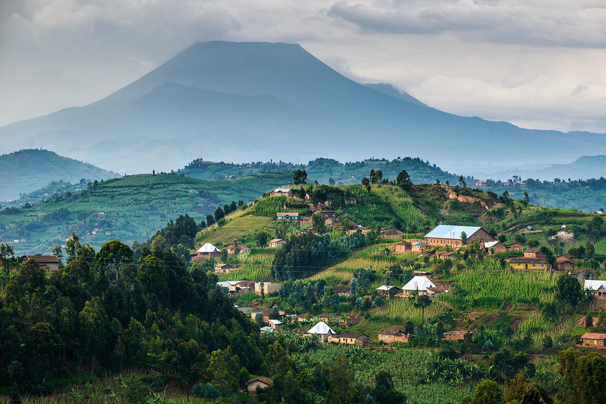 The Virunga Massif—one of two natural habitats for the world's mountain gorillas—is a chain of volcanoes that spans Rwanda, Uganda, and the Democratic Republic of the Congo.