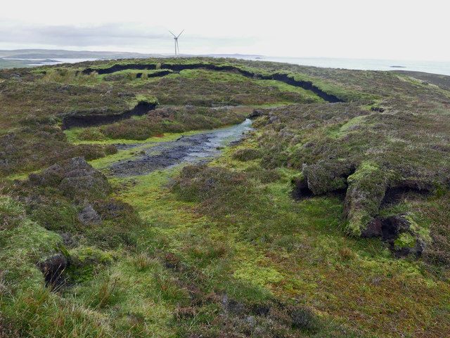 Blanket bog on the Hill of Gremista, Scotland.