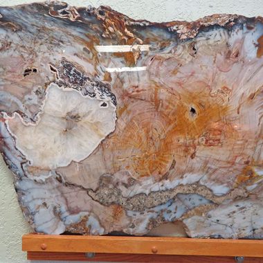 Petrified wood from the Hubbard Basin in Nevada. Photo by Linda Aksomitis @ guide2travel.ca