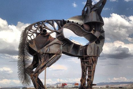 The coyote at Burning Man 2013.