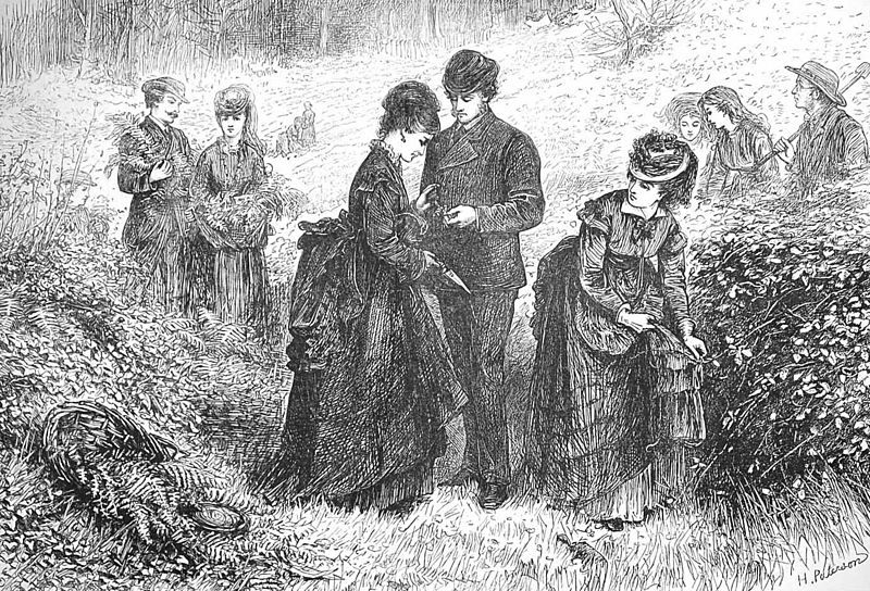 An 1871 illustration of a party gathering ferns. 