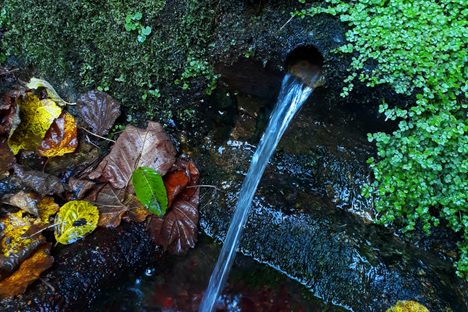 One water outlet pouring into a trough.