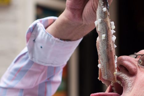 Soused herring eaten "the Dutch way"