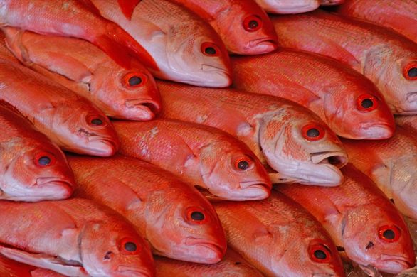 Maine Avenue Fish Market – Washington, D.C. - Gastro Obscura