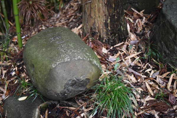The stele is largely neglected and forgotten today.