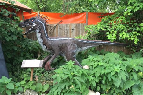 Backyard Terror's Dinosaur Park.
