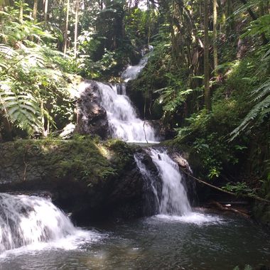 Hawaii Tropical Botanical Garden