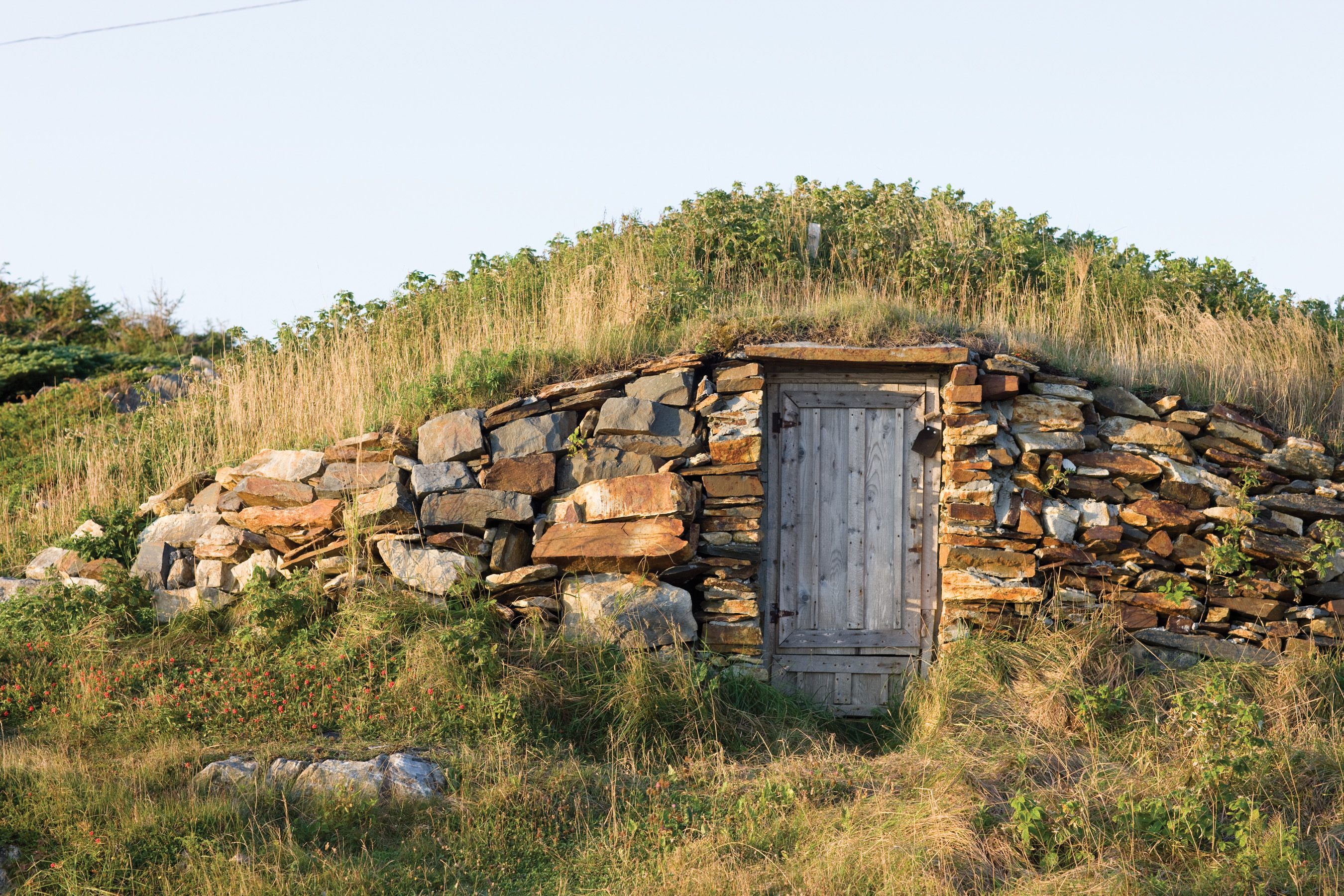 This Newfoundland Town Is the 'Root Cellar Capital of the World' - Gastro  Obscura