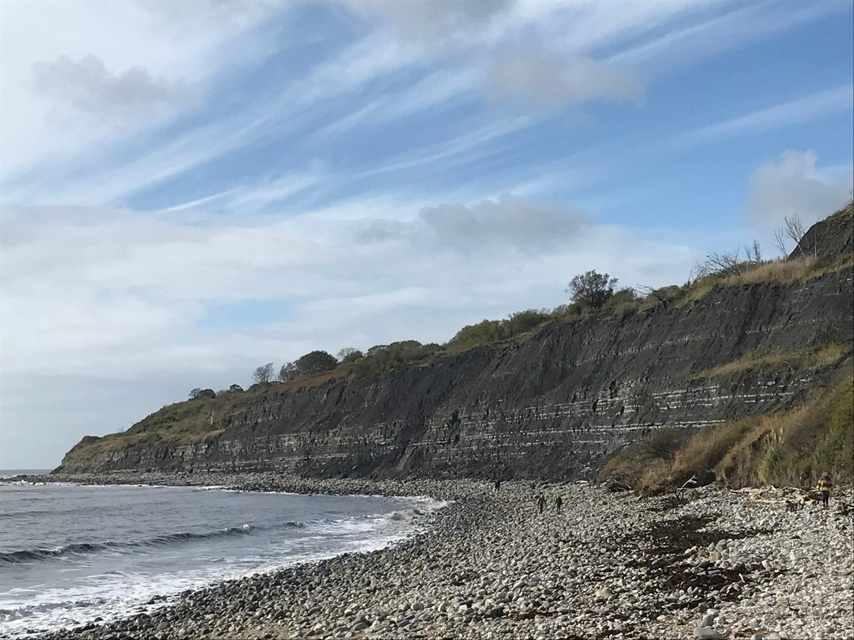 On the shores of Lyme Regis, Anning found many, many things.