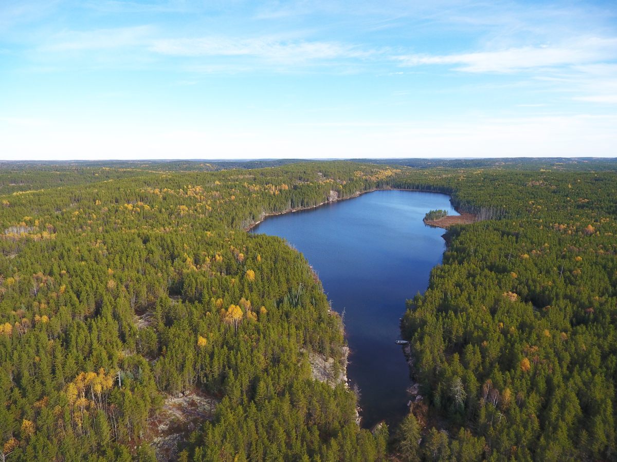 An aerial view of one of the lakes in the Experimental Lakes Area.