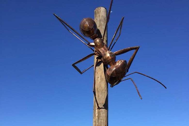 Big Meat Ant – Augathella, Australia - Atlas Obscura