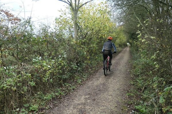 Cyclist on the tramway