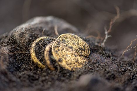 Archaeologists Strike Gold at the Site of a Mysterious 5th-Century Massacre