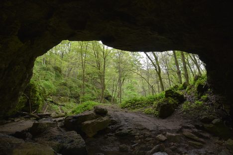 Maquoketa Caves