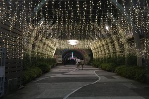 Entrance at Night.