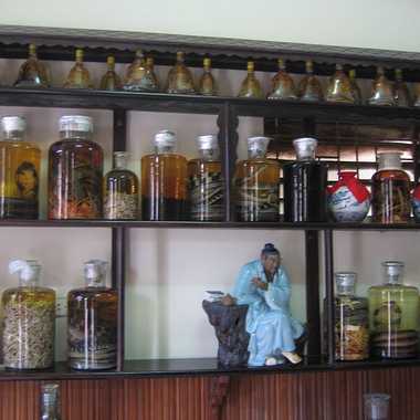 Snake Village