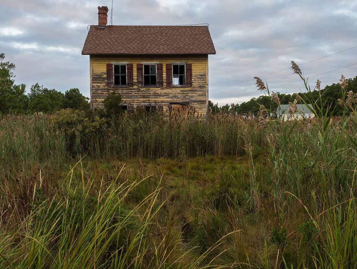 An old house slowly being claimed by the marsh.