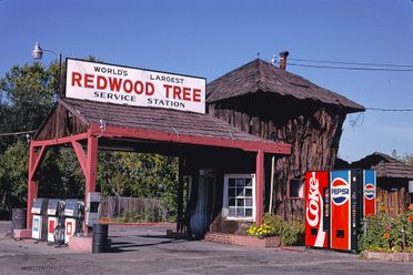 The service station in Ukiah, California, photographed in 1991, is made from the trunks of giant redwoods.