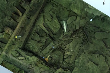 Looking down at Gribshunden's excavation site. One blue arrow indicates the sturgeon's barrel; the other points to a light orange sturgeon scute.