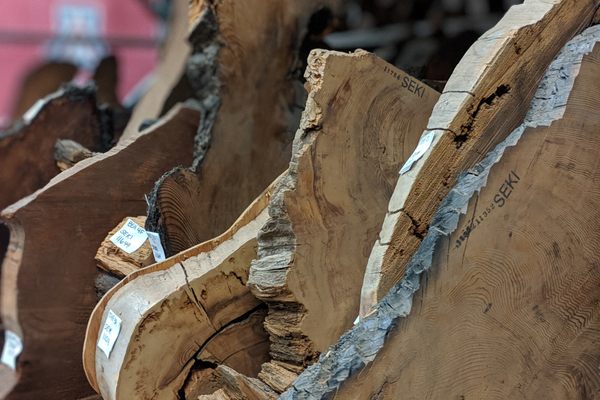Ancient trees like these, in the University of Arizona's Laboratory of Tree-Ring Research, helped date the massive eruption on Thera.