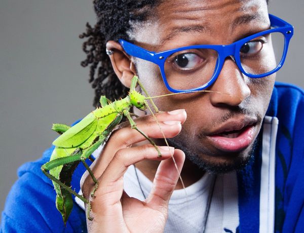 Easy insect pets top