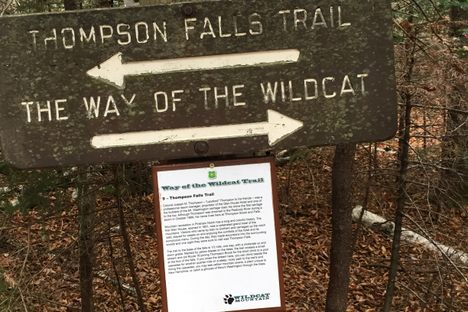 Thompson Falls