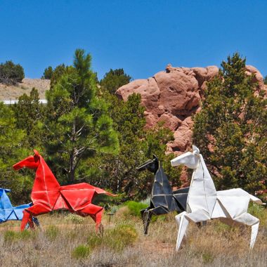 Wild Horses