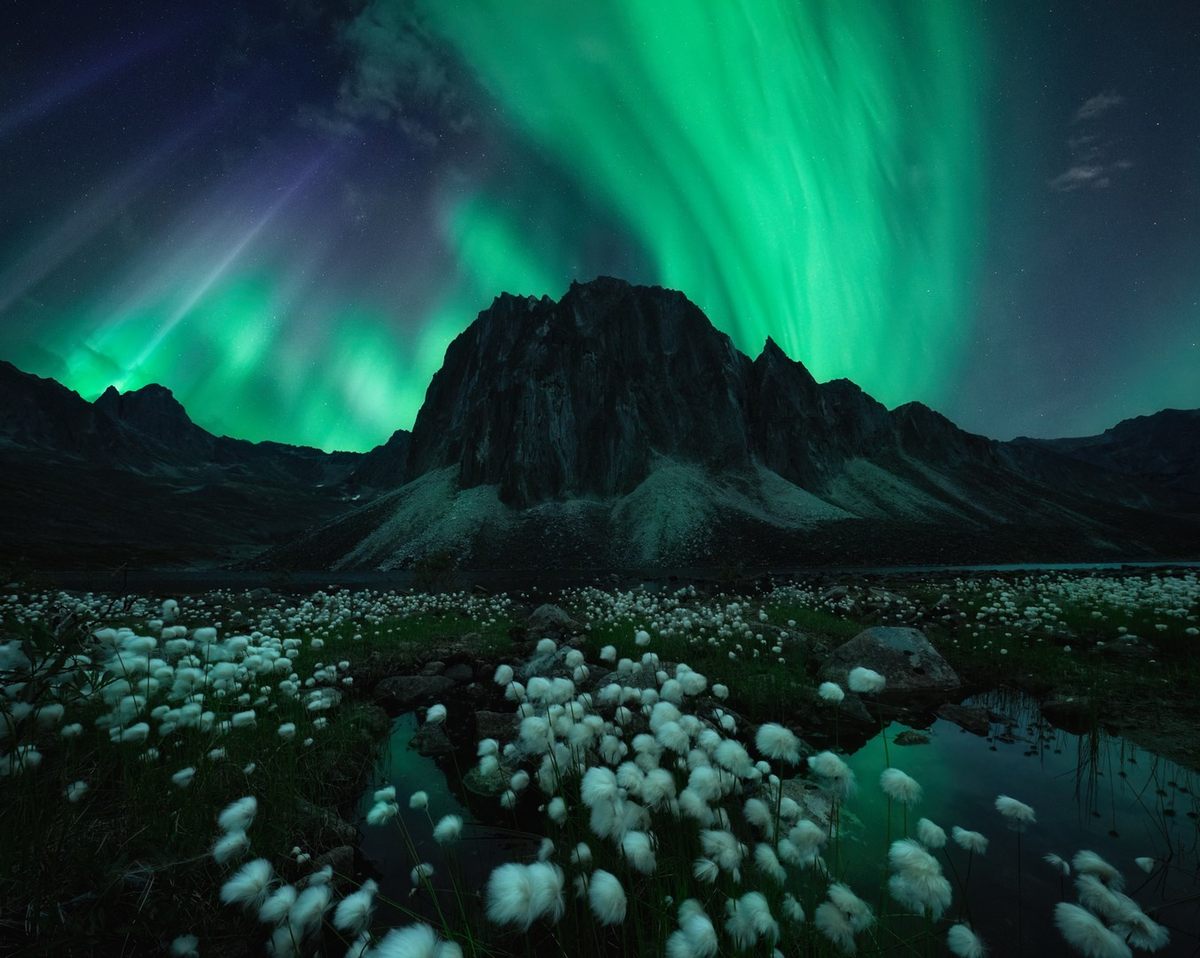 Above an expanse of cottony <em>Eriophorum</em>, known as <em>pualunnguat</em> in some Inuktitut dialects, auroras arc over the rugged Tombstone mountain range in Canada’s Yukon Territory. The green colors result from solar wind particles interacting with oxygen 75-110 miles above us. What appear to be rays of bluish-white and purple on the image’s left are likely caused by the electrons colliding with nitrogen at a lower level in the sky.