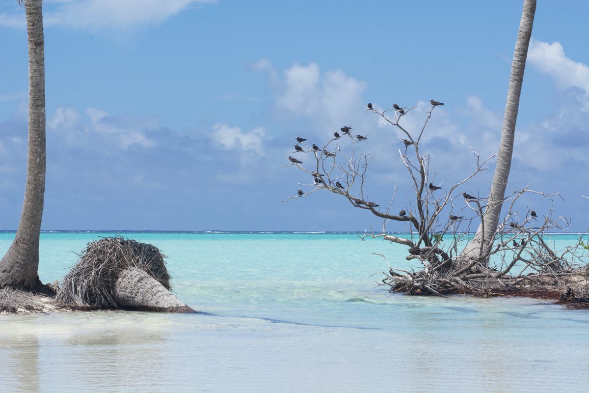 Teti'aroa's sandy shores sit atop a partially exposed coral reef that frames a shallow lagoon.
