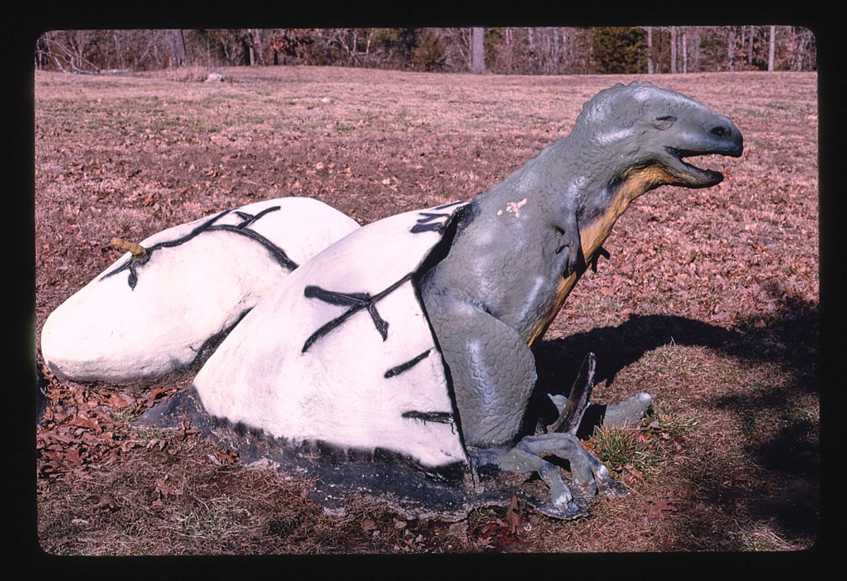 <em>Allosaur, Dinosaur World</em>, Arkansas, 1994.