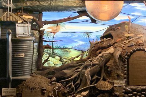 Grosjean's Noah's Ark Diorama