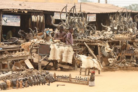 Shopping for Spells: Exploring Four of the World's Witchcraft Markets